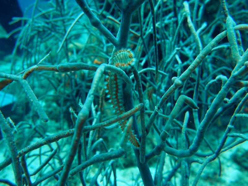 Curacao 04-12 184.JPG
